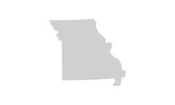 State Silhouette Icon