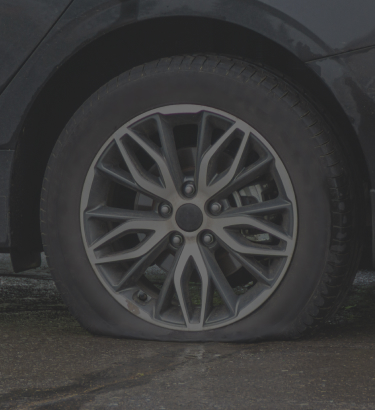 129 Point Inspection Header