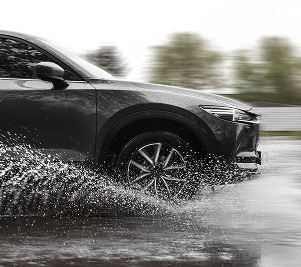 All-Season Tires